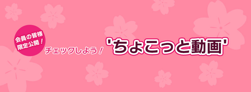 ちょこっと動画