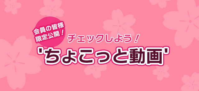 ちょこっと動画